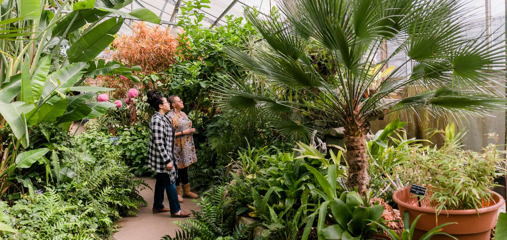 Footer Background Image